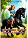 Александр Андреев - Приключения Любаши: дорога к источнику