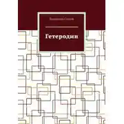 Постер книги Гетеродин