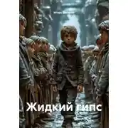 Постер книги Жидкий гипс