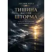 Постер книги Тишина внутри шторма: путь от выгорания к внутренней опоре