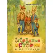 Постер книги Огородные истории и не только…