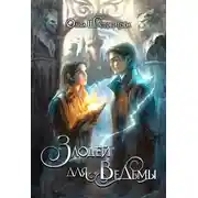 Постер книги Злодей для ведьмы
