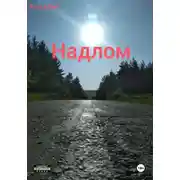 Постер книги Надлом