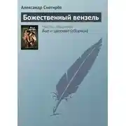 Постер книги Божественный вензель
