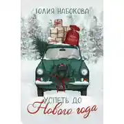 Постер книги Успеть до Нового года