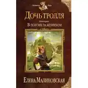 Постер книги В погоне за женихом