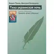 Постер книги Тиха украинская ночь