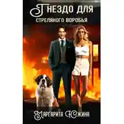 Постер книги Гнездо для стреляного воробья