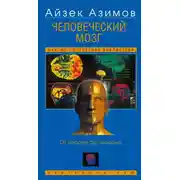 Постер книги Человеческий мозг. От аксона до нейрона