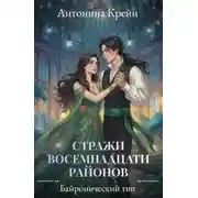 Постер книги Стражи восемнадцати районов. Серия 3. Байронический тип