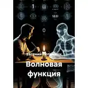 Постер книги Волновая функция