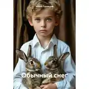 Постер книги Обычный снег
