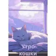 Постер книги Утро кошки