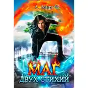 Постер книги Маг двух стихий. Книга 1