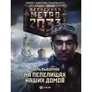 Постер книги Метро 2033: На пепелищах наших домов