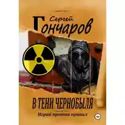 Постер книги В тени Чернобыля