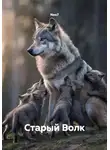 Neo7 - Старый Волк