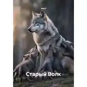 Постер книги Старый Волк