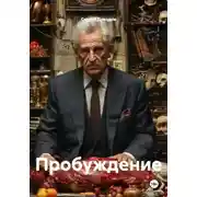 Постер книги Пробуждение