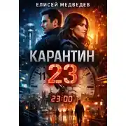 Постер книги Карантин 23