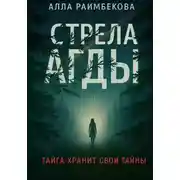 Постер книги Стрела Агды