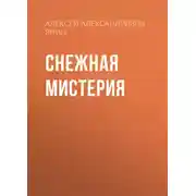 Постер книги Снежная мистерия
