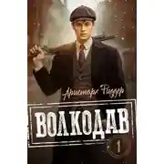 Постер книги Волкодав