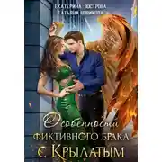 Постер книги Особенности фиктивного брака с крылатым