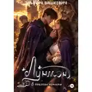 Постер книги Лунион. В поисках истины