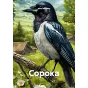 Постер книги Сорока