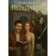 Постер книги Переплёты