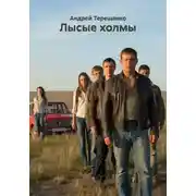 Постер книги Лысые холмы