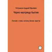 Постер книги Через матрицу бытия