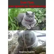 Постер книги Злая Пуля или привет из приграничья