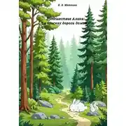 Постер книги Путешествие Алика: в поисках дороги домой