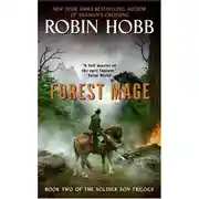 Постер книги Лесной маг