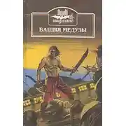 Постер книги Череп колдуна