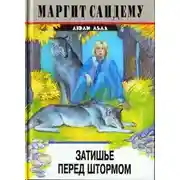 Постер книги Затишье перед штормом