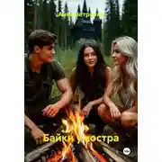 Постер книги Байки у костра