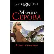 Постер книги Агент возмездия