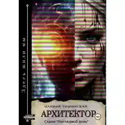 Постер книги Архитектор