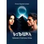 Постер книги Вспышка. Темная сторона Луны