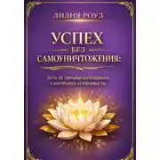 Постер книги Успех без самоуничтожения :путь от тирании потенциала к внутренней устойчивости