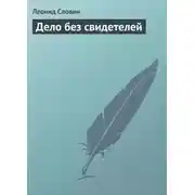 Постер книги Дело без свидетелей