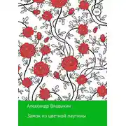 Постер книги Замок из цветной паутины