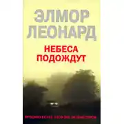 Постер книги Небеса подождут