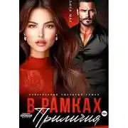 Постер книги В рамках приличия