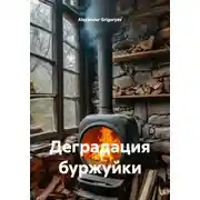 Постер книги Деградация буржуйки