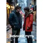 Постер книги Зимний путь