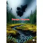 Постер книги Иллюзия
